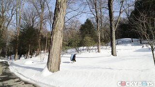 Dillon Rossi Fucks Liam Riley 2015