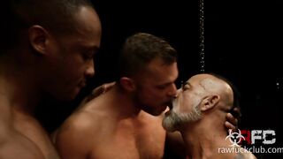 Two Fat Cocks For Bo