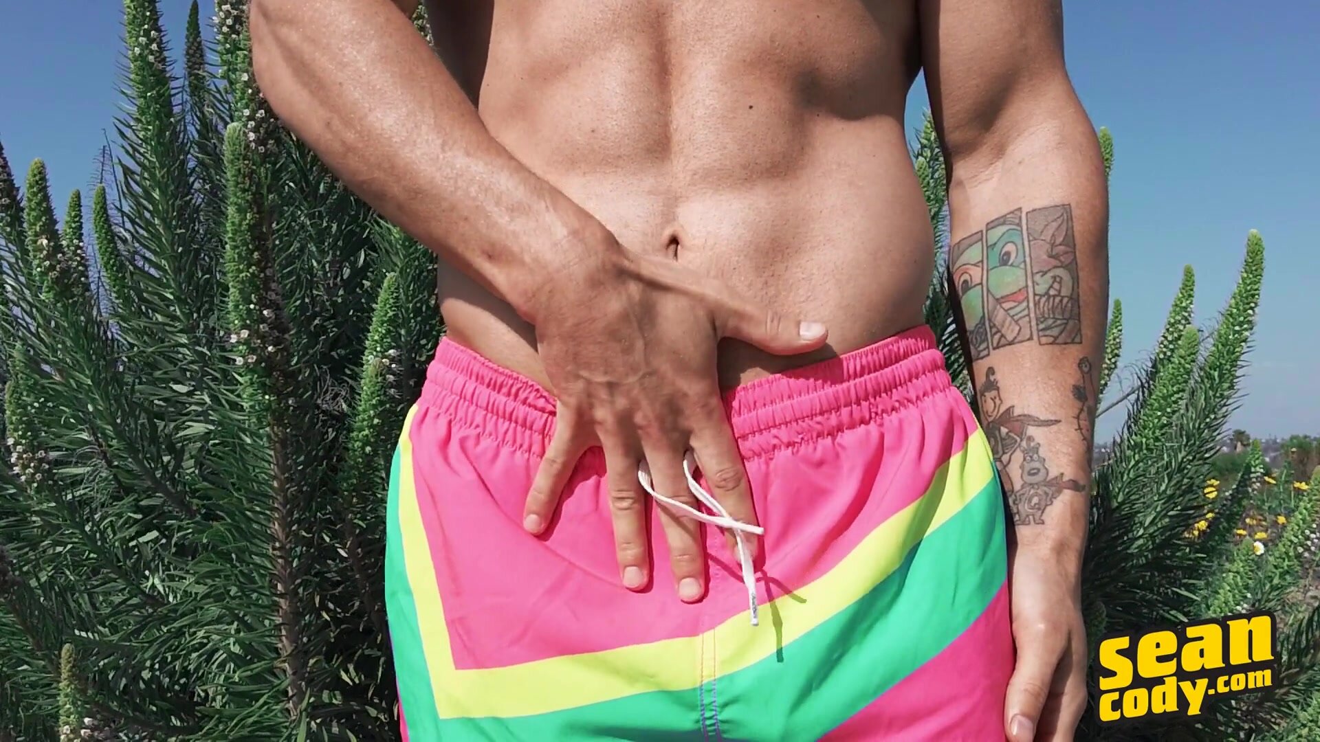 Vin Roxx - Solo Gay Porn HD Online