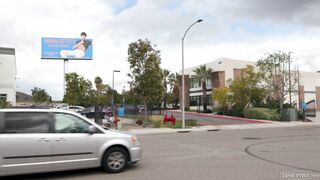 The Animator (Elliot Finn, Michael Del Ray)