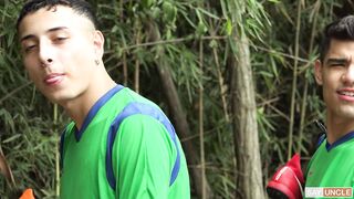 Stranger Under the Tree