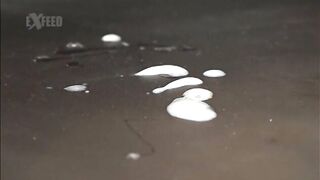 Raw Awesome - Sota 凄生 蒼汰 體差し出します。