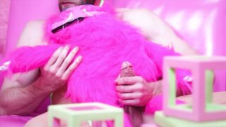 BCALLA FW15 Collection - Colby Does NY