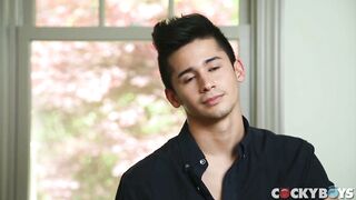 One Erection 3: Sex-Crazed Nymphomaniac