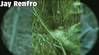 Raw Recruits (2006)