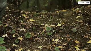 Camp Fuckers (2016)