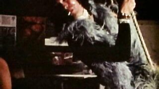 Confessions of a Male Groupie (1971)