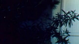 El Paso Wrecking Corp. 1977