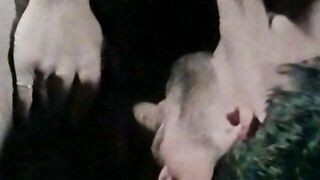 So Many Men, So Little Time