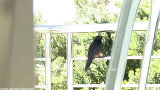 Adam Archuleta - PHOTOSESSION VIDEO