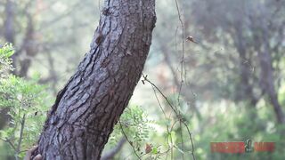 Summer Feelings 2017